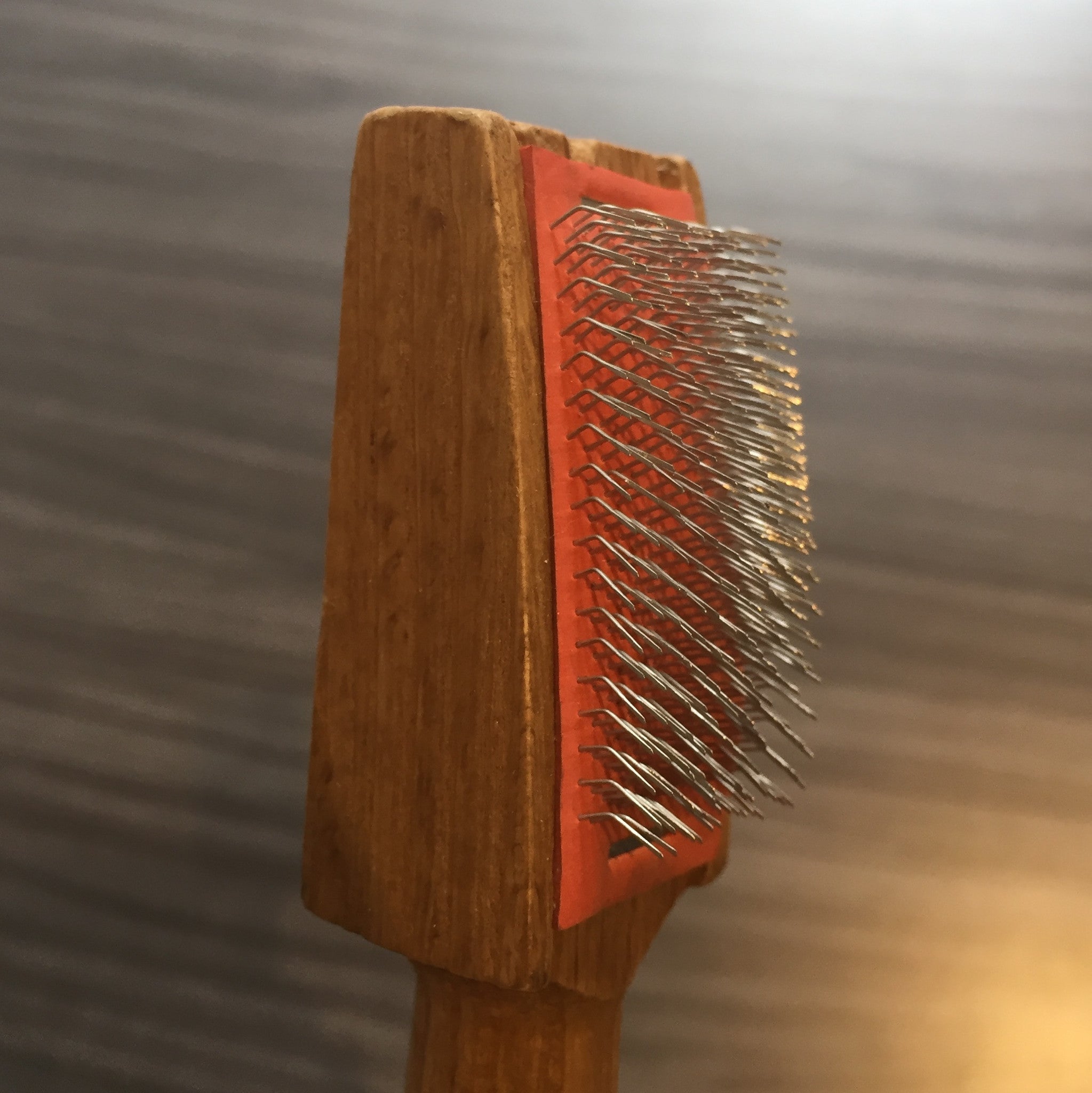 Shoe Brush for Latin Dance Shoes